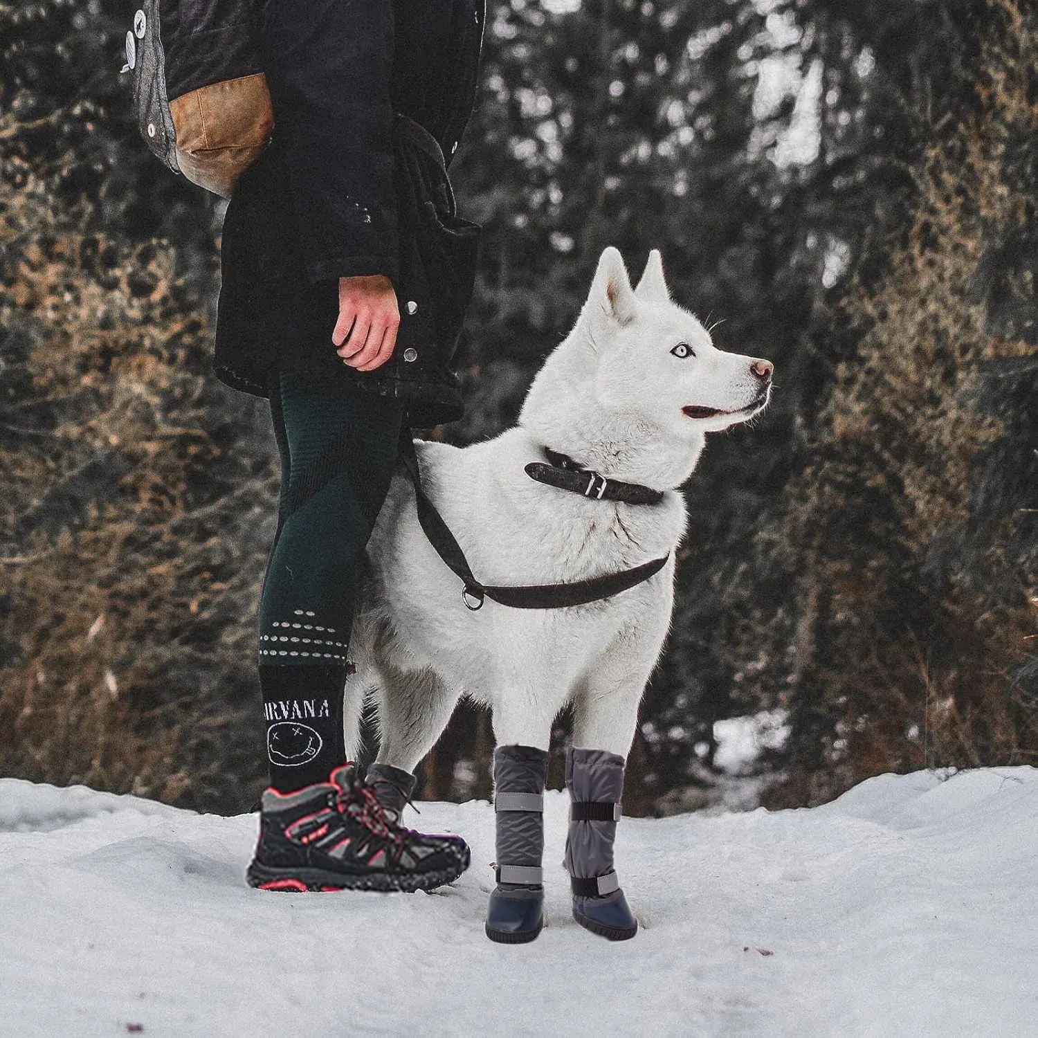 & Dog Rain Boots with Waterproof Material , Dog Winter Boots Keeps Your Pet Warm, Reflective Straps and Anti-Slip Sole, Dog Snow Boots for Snowy Day( 4PCS/Set )