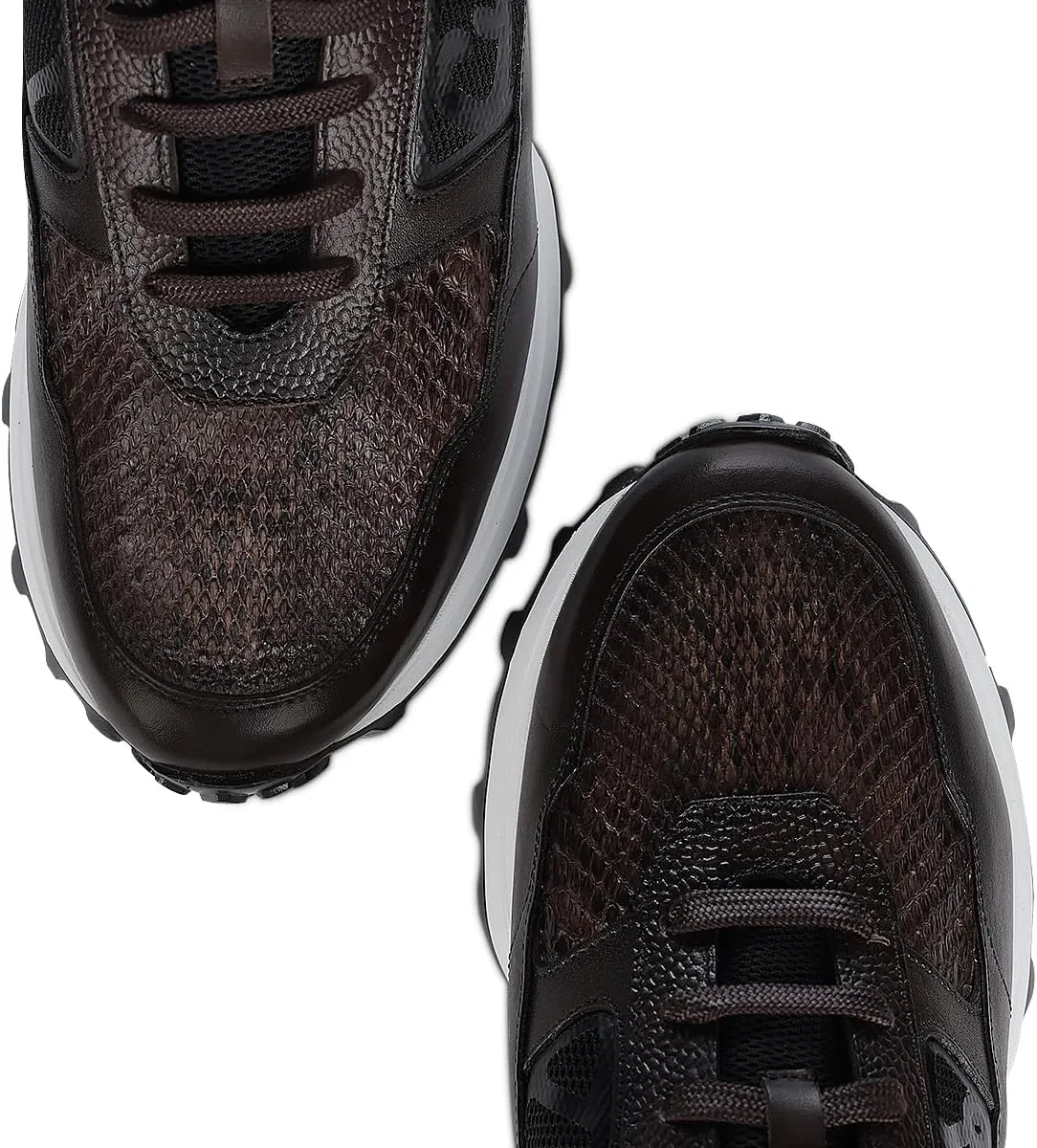 FRANCO CUADRA Men's Sneakers in Genuine Python Leather Brown