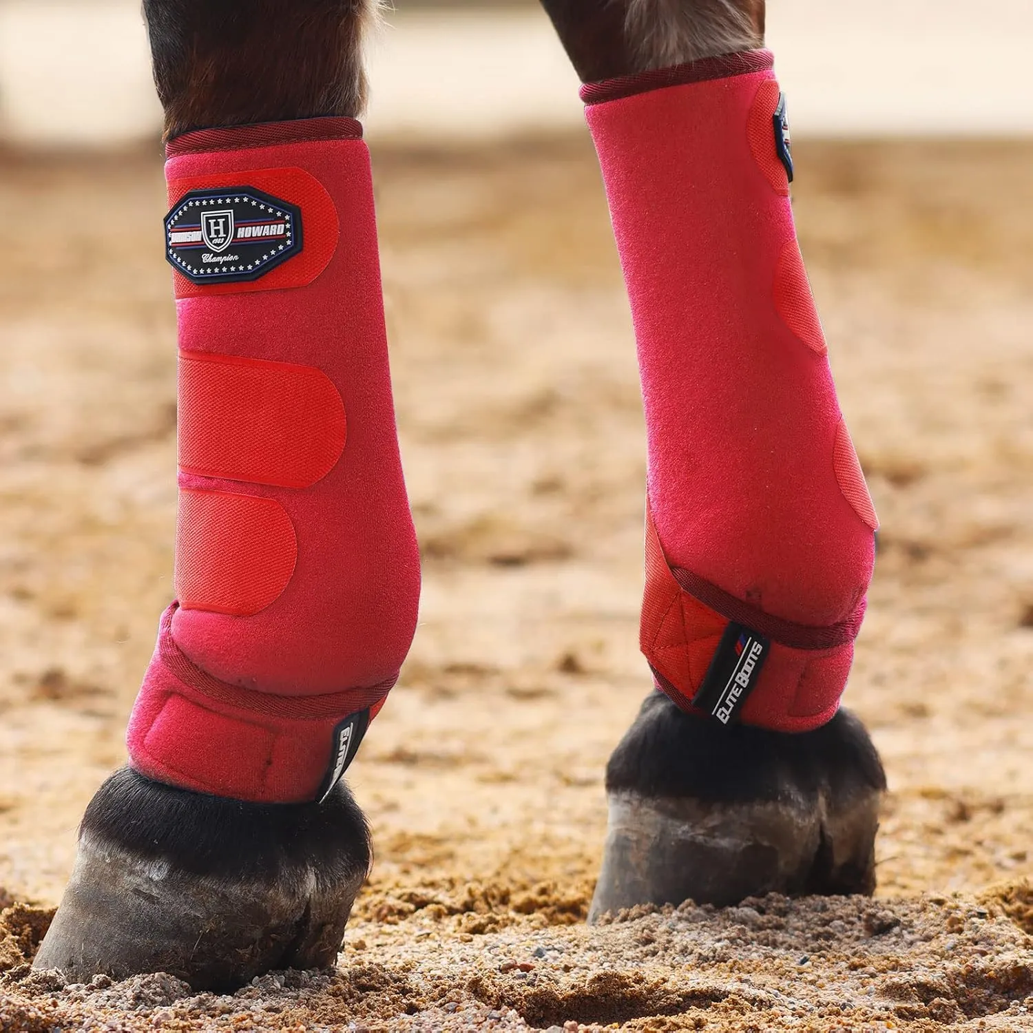 Harrison Howard Horse Sport Medicine Front Shock-Absorbing Boots All-Round Lower Limb Protection & Support Sport Boots Perfect for Endurance Training and Performance Pack of 2 Scarlet Red M