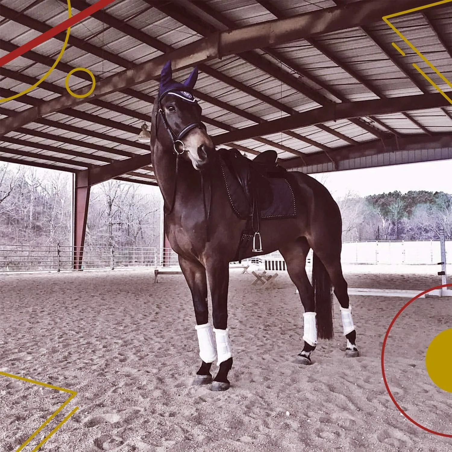 Kavallerie Dressage Horses Boots: Fleece-Lined Faux Leather Woof Brushing Boots for Training, Jumping, Riding, Eventing - Quick Wear for Breathable, Lightweight & Impact-Absorbing Wrap